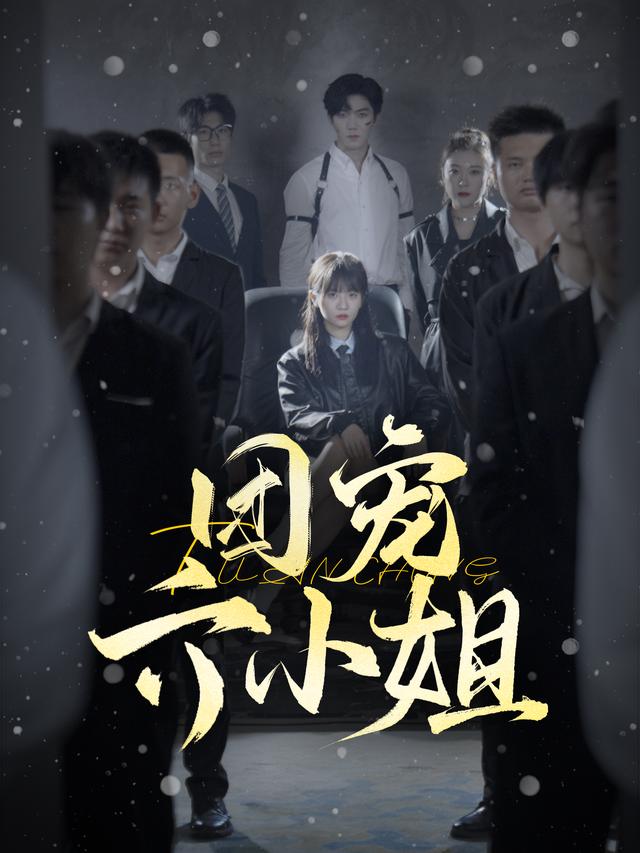 团宠六小姐海报